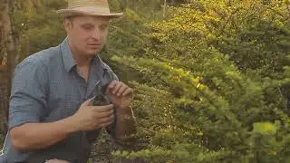 The Surprising Secret Behind the Smell of Freshly Cut Grass