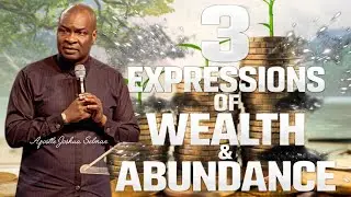 3 EXPRESSIONS OF WEALTH AND ABUNDANCE| APOSTLE JOSHUA SELMAN|