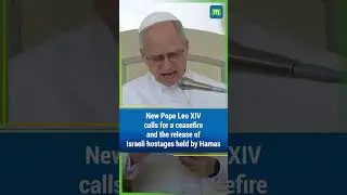 Pope Leo says Gaza's condition is 'painful', appeals for entry of aid