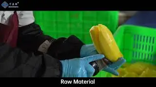 Sinocharm Flowchat of Frozen Mango Dice