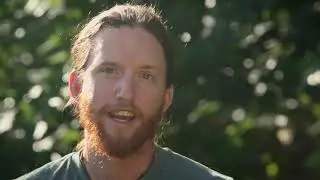 Understanding Regenerative Systems
