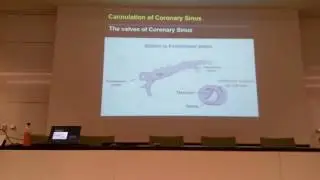 Lv lead implantation