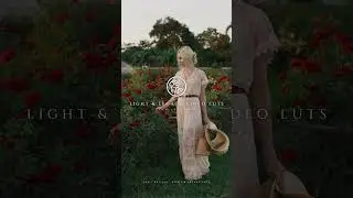 Light & Legacy - Timeless Color