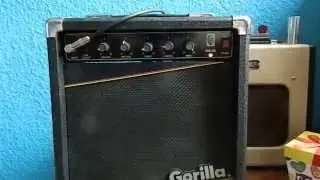 Quick test Gorilla GG-25