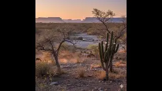 Caatinga sem filtros: do branco ao verde!