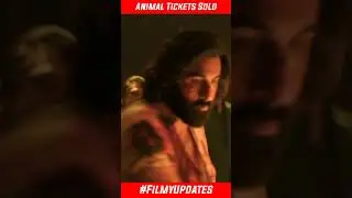 Animal Movie Advance Booking Collection | #update #animalfirstlook #bollywood #shorts