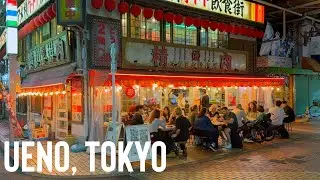 Walking Through Ueno Park and Ameyoko Market Tokyo &ndash; Serene Nature and Vibrant Streets