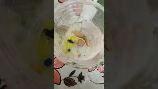 how to make a slime in snow spray what do u guys think is it good or bad 👍 or 👎