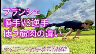 プランシェ順手と逆手で使う筋肉は異なるか？【ストリートワークアウト・サイバーフィットネスTAMO】