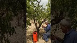 sulfatadora 16 litros