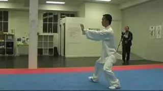 Tai Chi 85 Forms, Part 2 ~ Traditional Yang Style