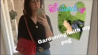 First gardening of the year with my pug