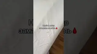 #собака #бадди #собаки #джекрасселтерьер #животные #rek #fun