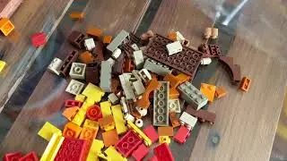 Обзор конструктора LEGO Classic Набор для творчества с окнами (11004) из Rozetka