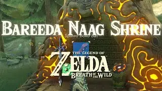 THE ANCIENT RITO SONG - BAREEDA NAAG SHRINE NO. 119 | THE LEGEND OF ZELDA: BREATH OF THE WILD