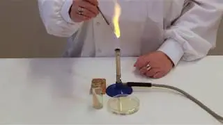 Bacterial slope to solid transfer