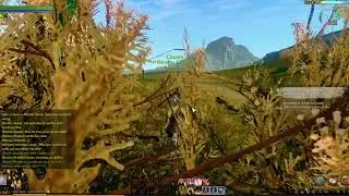 Archeage: Evolution - Conviction - Falcorth mini province