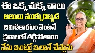 Powerful Remedy for Nasal Congestion | Chronic Cold Relief | Anantha Lakshmi