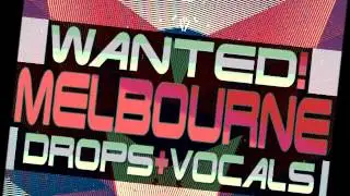 Melbourne Drops & Vocals Sample Pack | 2.3GB of 100% Royalty-Free, unique content
