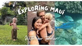 5 Days Around Maui- Traveling with a Toddler