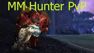 5.4 SV Hunter PvP - Five Hunters One Battleground - Patch 5.4