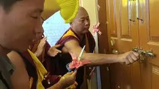 ཇོ་བོའི་ཝ་ཏི་བཟང་པོའི་སྐོར་གནའ་ཤུལ་མཇལ་ཁ་དང་འགྲེམས་སྟོན། | གོ་སྟོན། | བོད་ལུགས་འཁྲུངས་སྐར།