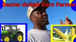 Dexter The Corn Farmer Can Do It All!