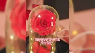 Forever Rose in Glass Dome -  Breathtaking Gifts for Her