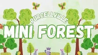 Community Feature - Purcellville Mini Forest