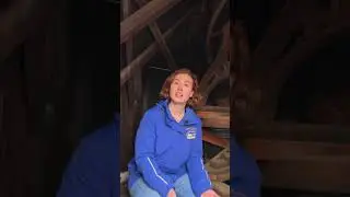 Adventures in Alexandria: Friendship Firehouse Bell
