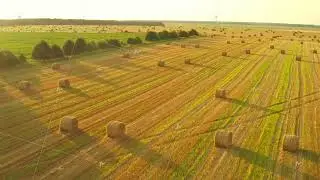 4K Aerial View Of Summer Hay Rolls Straw Field Landscape In Evening. Haystack, Hay Roll in Sunrise