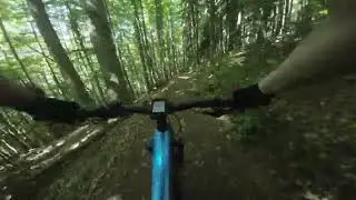 MTB trail Leeberg