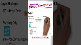 Switchesv3