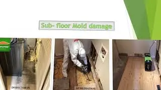 SERVPRO of North Vancouver - A Professional and IICRC-certified restoration company (1)