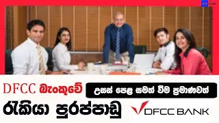 DFCC Bank Job Vacancies in Sri Lanka | DFCC Bank Jobs 2023