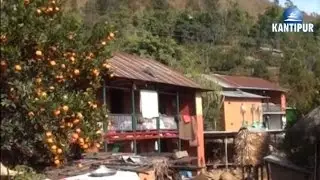 खाल्टे गाउँ कृषि पर्यटनको गन्तब्य बन्दै