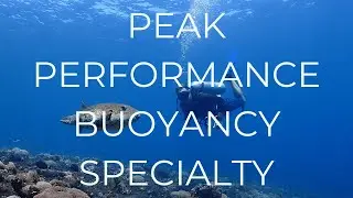 PADI Peak Performance Buoyancy Specialty Course