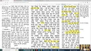 Daf Yomi made easy Yevamos Daf 76