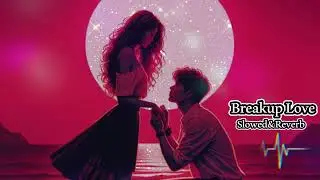 Bollywood Breakup Song | New Mashup Song 2024 | New Breakup Song |