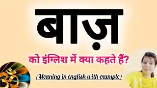 बाज़ को इंग्लिश में क्या कहते हैं? baaj ko English m kya khte h बाज़ in english