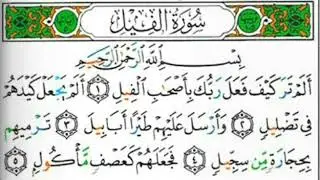 سورة الفيل بصوت القارئ الشيخ محيي الدين أبو العُلا