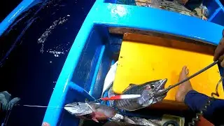 KENYAR MANIA ‼️SUDAH ADA TANDA-TANDA MUSIM IKAN KENYAR DI LAUT GRAJAGAN #pessfishing #mancingkenyar