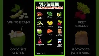 Top 12 High Potassium Foods