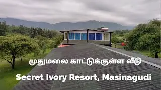 Secret Ivory Resort | Masinagudi (Ooty) | Mudumalai Forest #travel  #forest #adventure