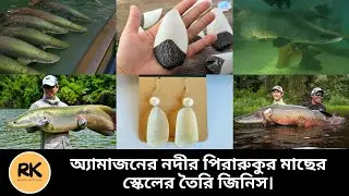 Things made from the Amazon's Piraruku scale. Piraruku Fish Scale | RK Media Official |