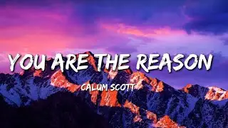 Calum Scott - You Are The Reason (Lyrics)