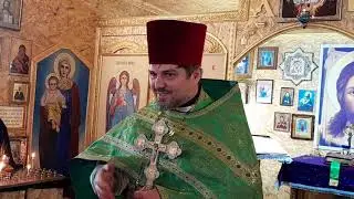 Проповедь о.Романа Вход Господень в Иерусалим 09.04.23, Храм св.апостола Луки
