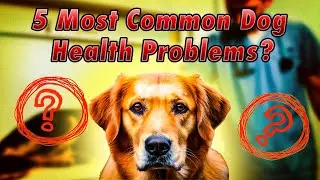 5 Most Common Dog Health Problems 🐶 & How to Prevent Them! (Vet-Approved Tips) 🚨