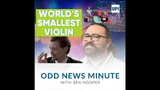Odds and Ends: World's smallest violin, escaped bull