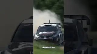 WRC Rally Poland 2024 Flatout 🔥 #rally #wrc #racing #toyota #flatout #fast #crazy #rajd #polska